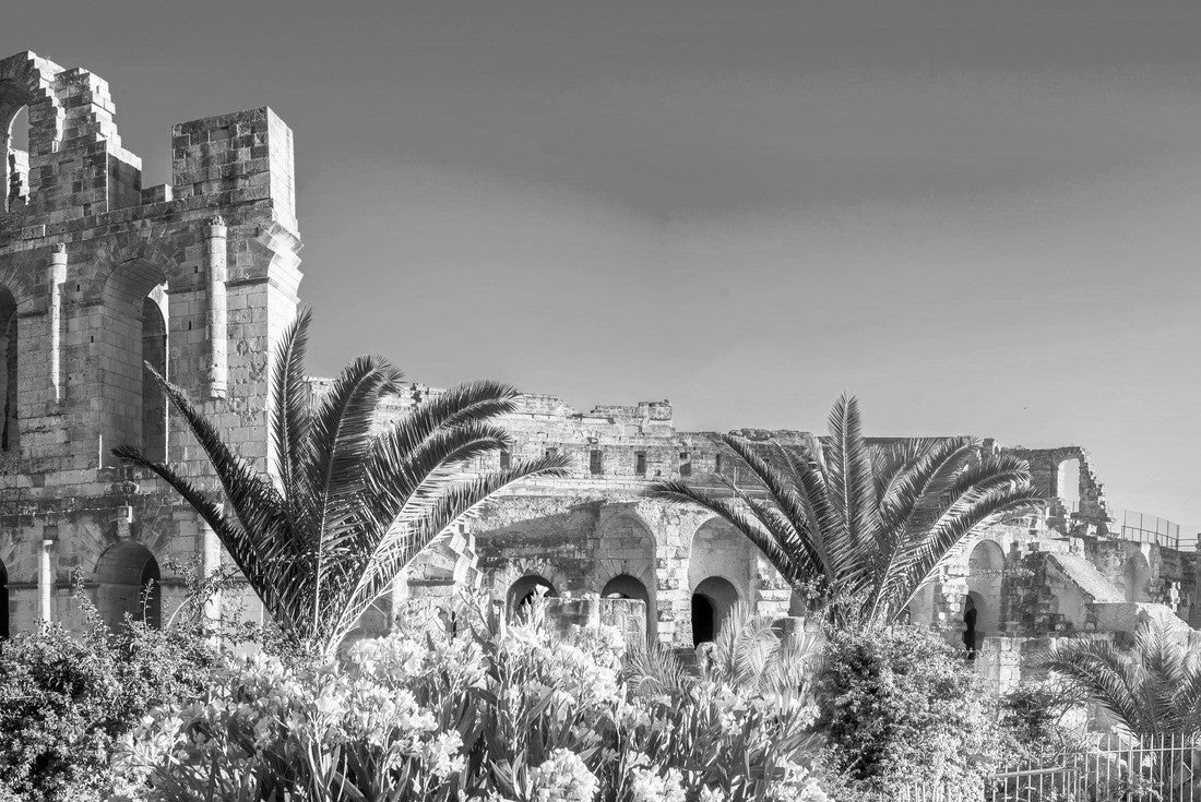 Noah Jigsaw Puzzle Panoramic view of the Roman amphitheater in El Djem. Tunisia, North Africa in black white 2000 pieces