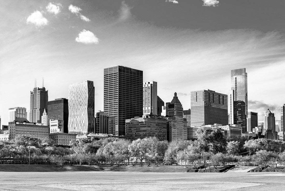 Chicago skyline at Grant Park in Illinois - United States 2000pc PuzzleBlack and White