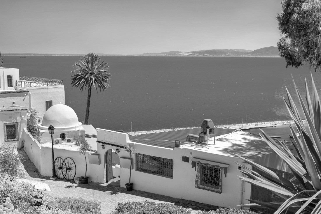 Noah Jigsaw Puzzle Panoramic landscape with typical white blue houses and beautiful view of the sea. Sidi Bou Said, Tunisia in black white 2000 pieces