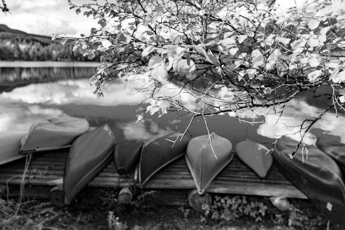 Noah Jigsaw Puzzle Canoes On Lake In Beautiful Fall Peak Color in black white 2000 pieces