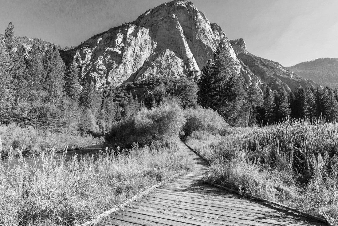 Noah Jigsaw Puzzle Panorama of Zumwalt Meadows hiking in Kings Canyon National Park, a large grassland in the forest with wildflowers with the surrounding towering cliffs of Kings Canyon in black white 2000 pieces