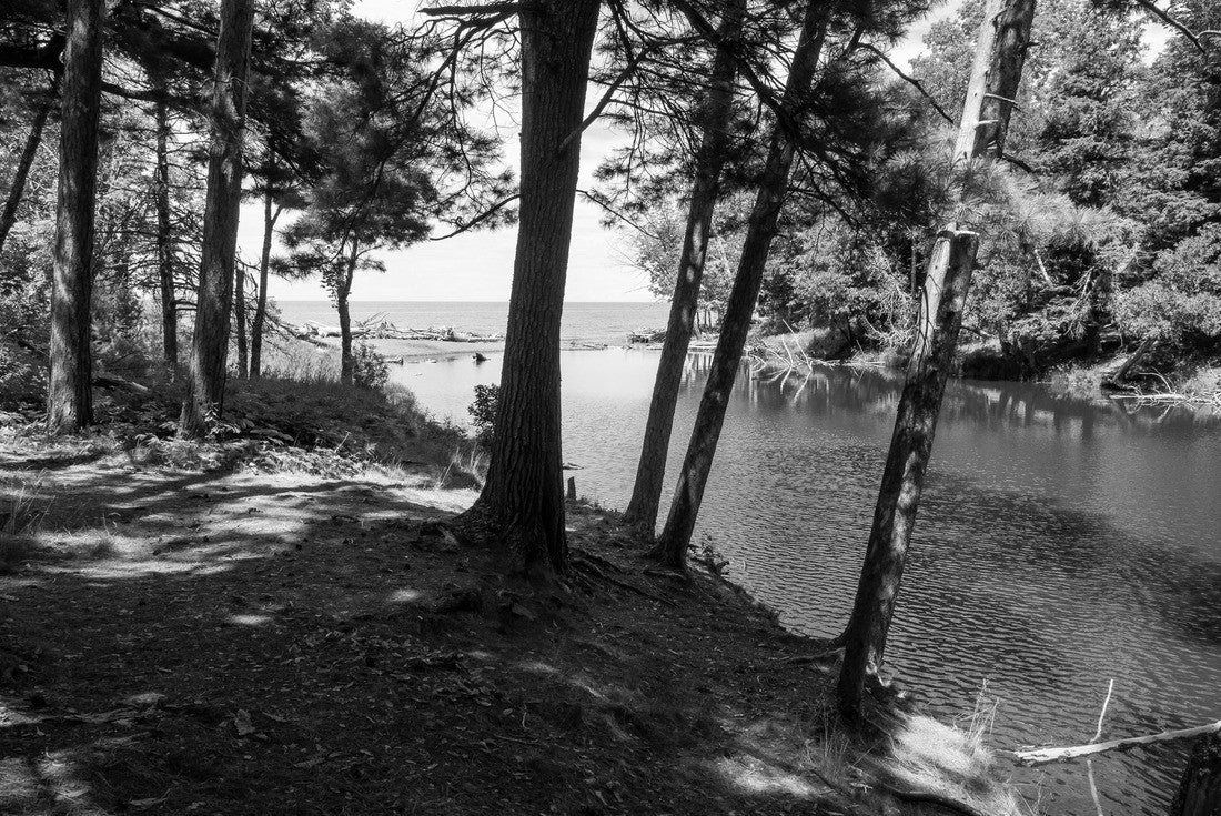 Noah Jigsaw Puzzle The Presque Isle River Waterfall Loop in the Porcupine Mountains is a fantastic hike to see some beautiful waterfalls in black white 2000 pieces