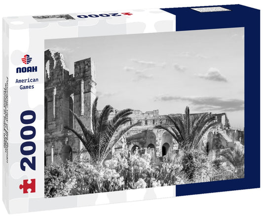 Noah Jigsaw Puzzle Panoramic view of the Roman amphitheater in El Djem. Tunisia in black white 2000 pieces