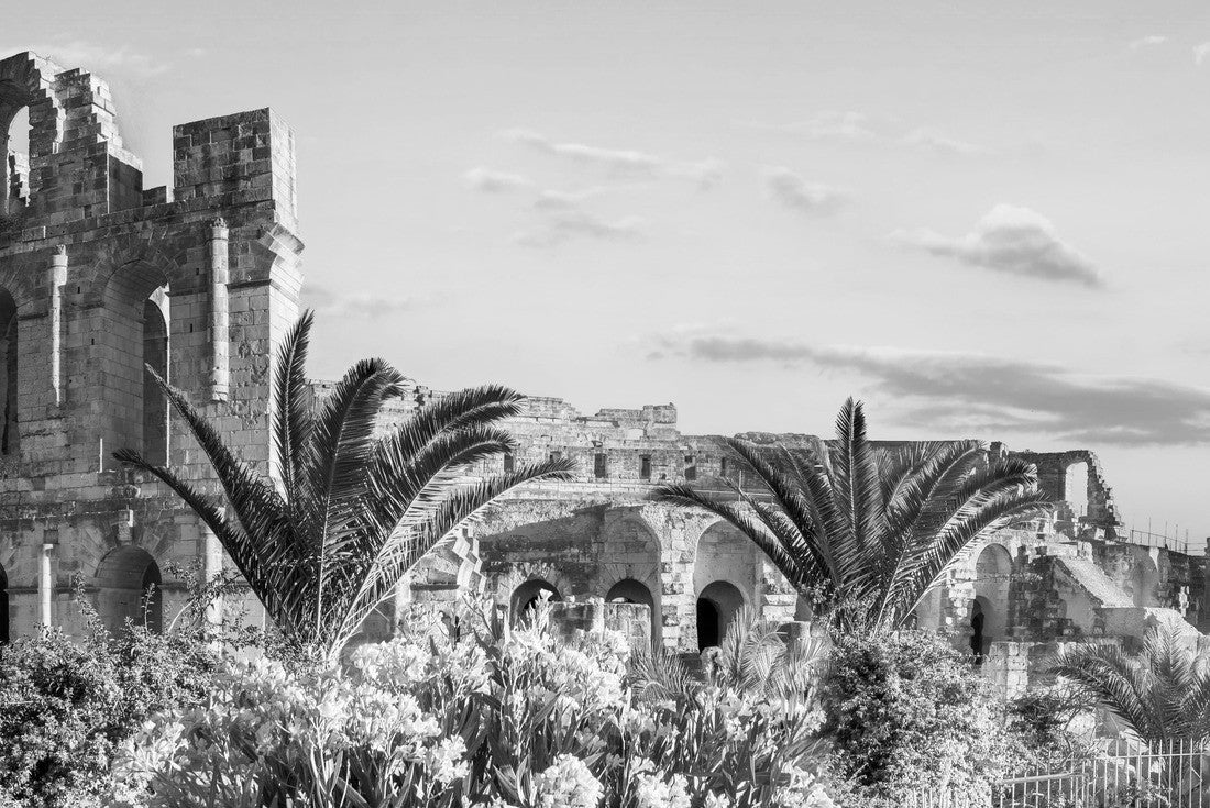 Noah Jigsaw Puzzle Panoramic view of the Roman amphitheater in El Djem. Tunisia in black white 2000 pieces