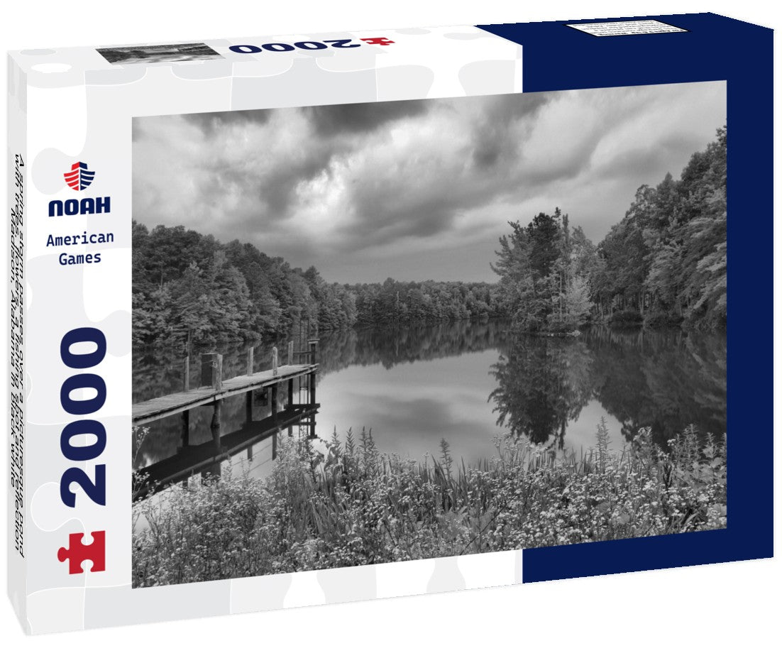 A spring storm passes over a picturesque pond with trees, flowers, a fishing spot and reflection, Madison, Alabama 2000pc PuzzleBlack and White