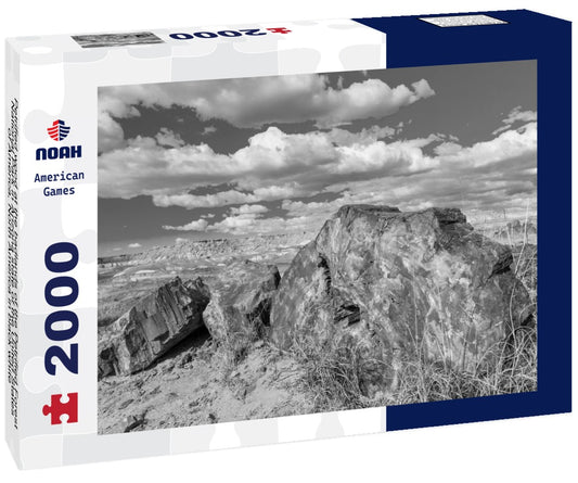Noah Jigsaw Puzzle Petrified wood at the badlands of the Petrified Forest National Park in Arizona state of the United States of America, North America in black white 2000 pieces