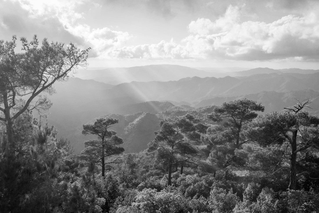 Pano Platres in Troodos mountains, Cyprus 2000pc PuzzleBlack and White