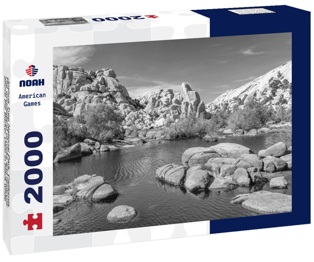 Noah Jigsaw Puzzle Joshua Tree National Park, California. The wonderland of rocks and reservoir above the Barker Dam in black white 2000 pieces