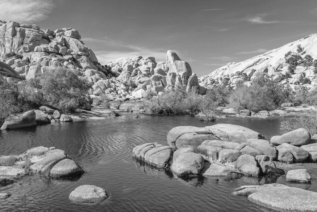 Noah Jigsaw Puzzle Joshua Tree National Park, California. The wonderland of rocks and reservoir above the Barker Dam in black white 2000 pieces