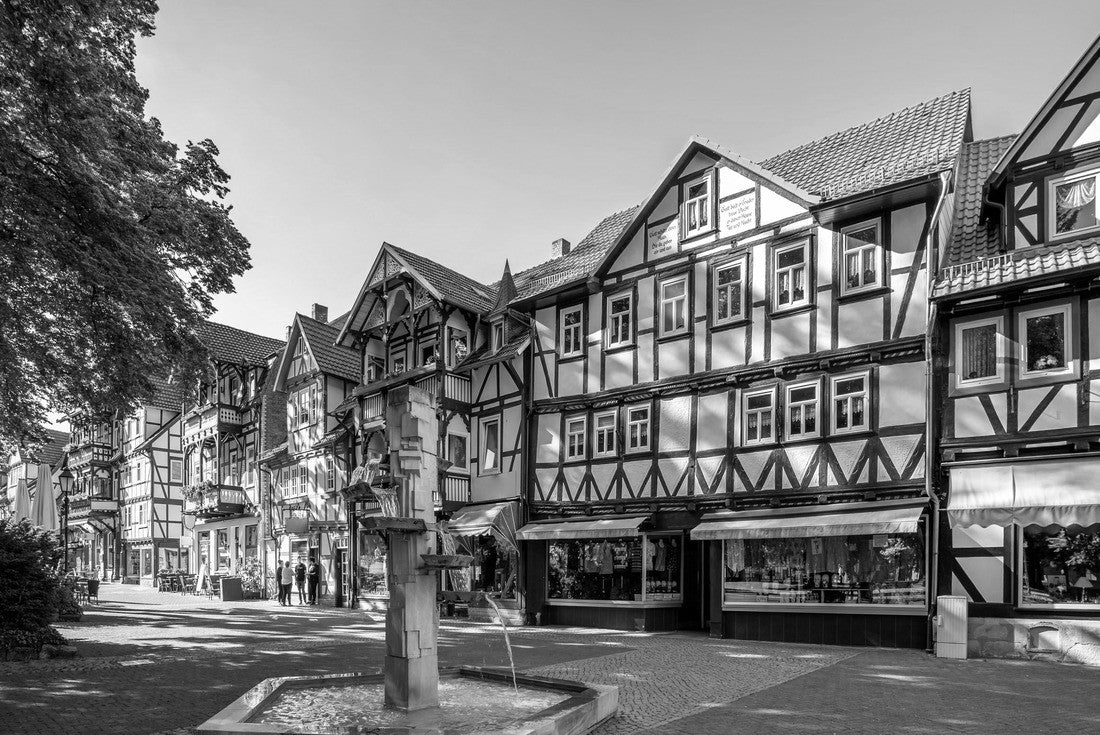 Historical city at the public garden in Bad Sooden Allendorf, Hessen, Germany 2000pc PuzzleBlack and White