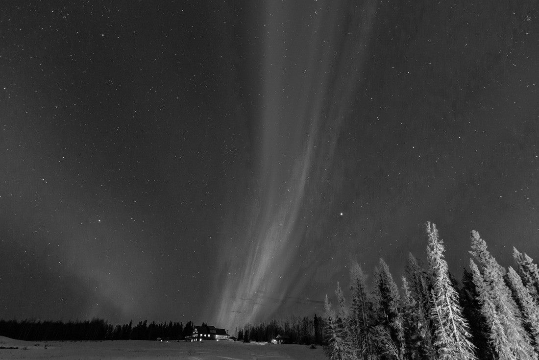 Northern Lights, aurora, Fairbanks, Alaska 2000pc PuzzleBlack and White