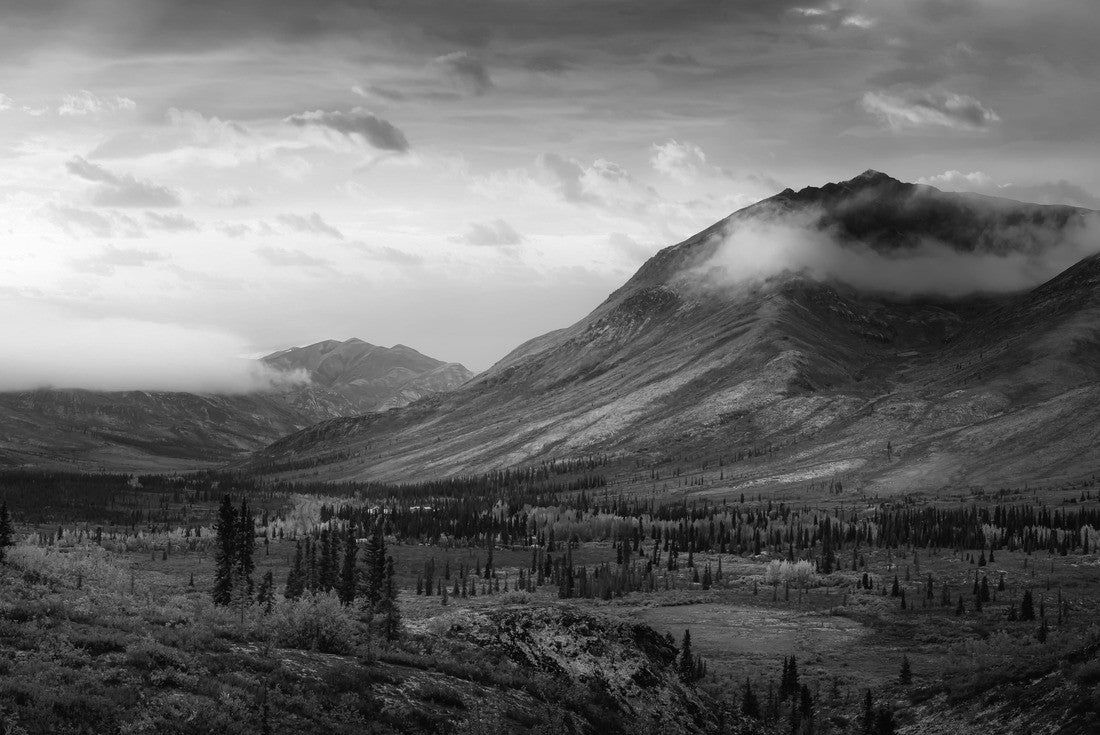 Beautiful colorful autumn forest and mountains in Tombstone. Sunset or Sunrise Sky Composite. Tombstone Territorial Park, Yukon, Canada 2000pc PuzzleBlack and White