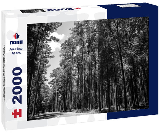Noah Jigsaw Puzzle Open road in Congaree National Park entrance in black white 2000 pieces
