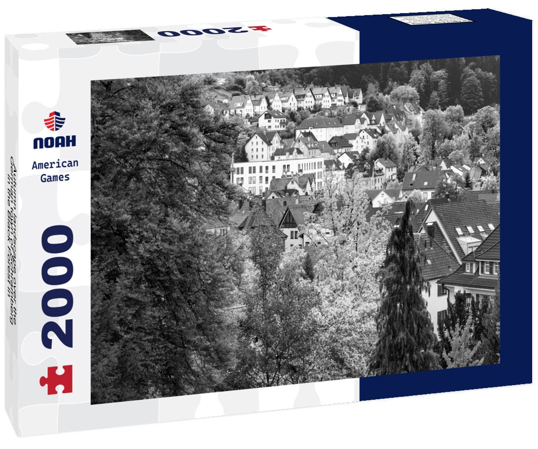 Noah Jigsaw Puzzle Autumn landscape over the German town of Schramberg in the Black Forest in black white 2000 pieces