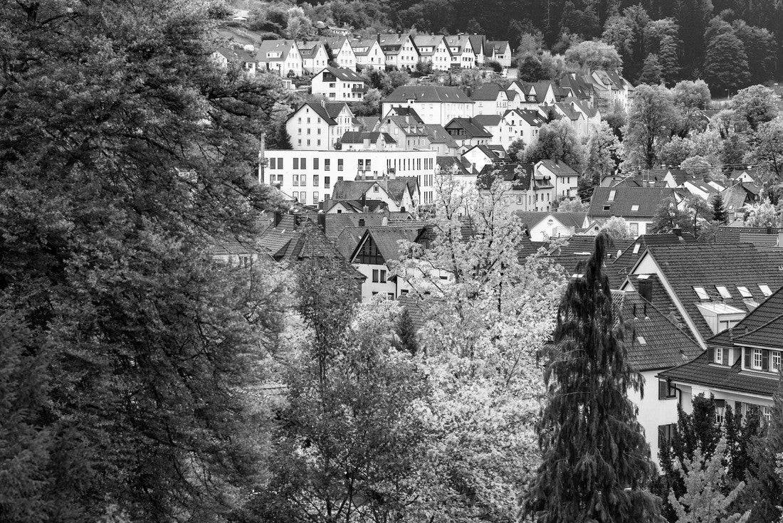 Noah Jigsaw Puzzle Autumn landscape over the German town of Schramberg in the Black Forest in black white 2000 pieces