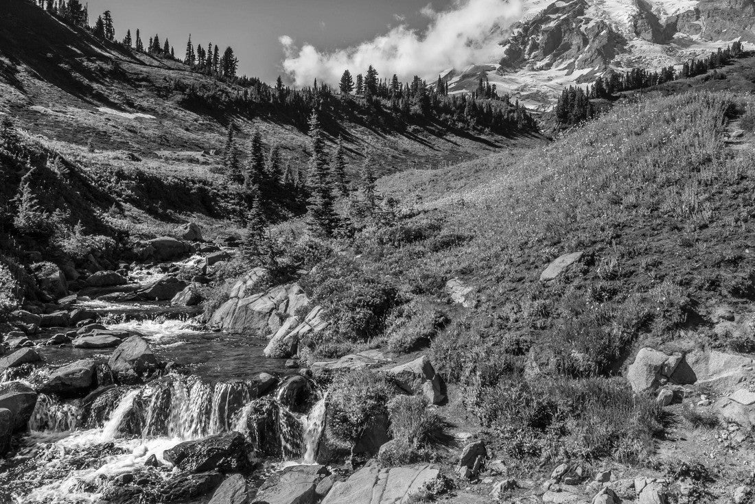 Mountain Rainier from the Skyline Trail in Paradise Valley, Mt Rainier National Park, Washington 2000pc PuzzleBlack and White