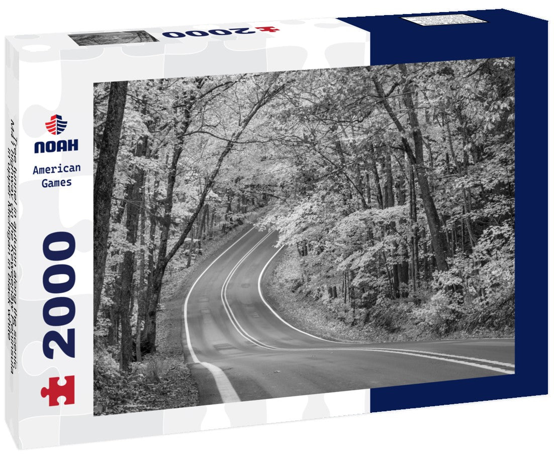 Tree tunnel in autumn along the scenic M41 highway on the Keweenaw Peninsula in upper Michigan 2000pc PuzzleBlack and White