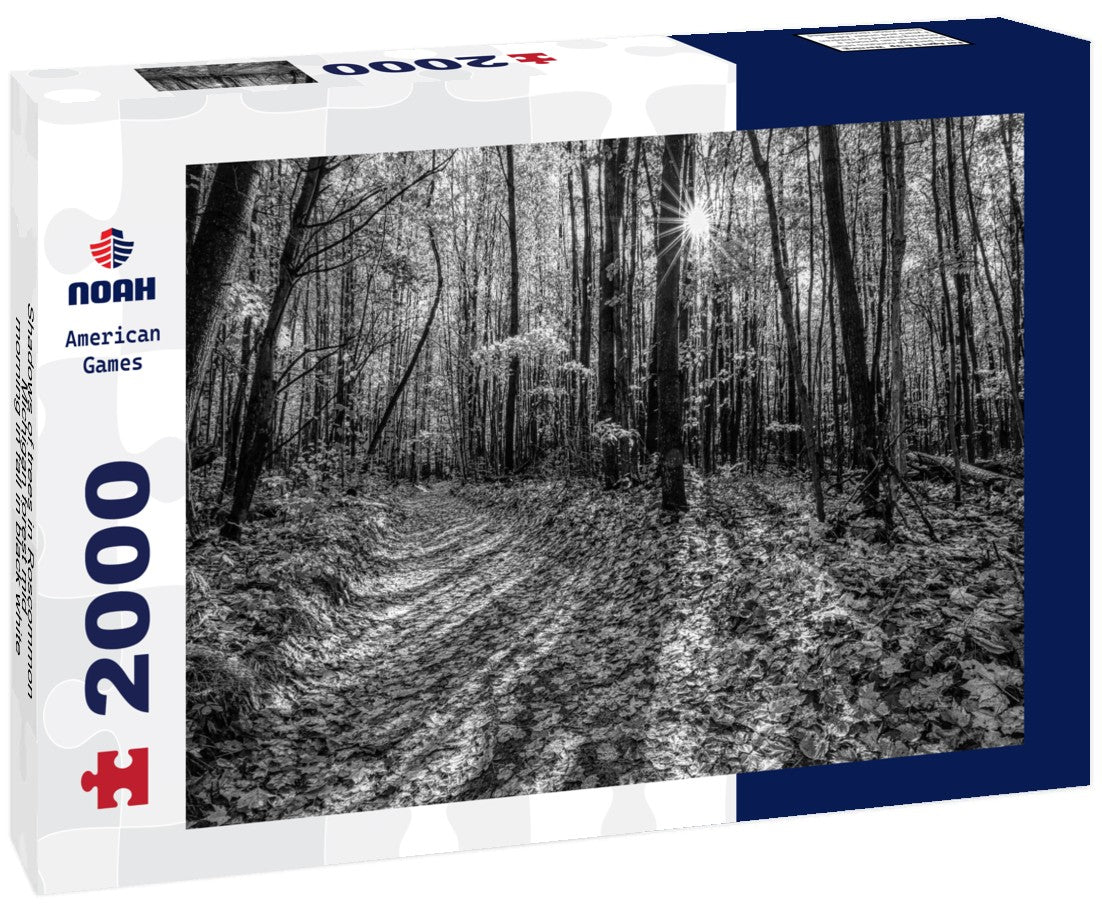 Shadows of trees in Roscommon Michigan forest mid-morning in fall 2000pc PuzzleBlack and White