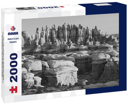 Noah Jigsaw Puzzle UT, Canyonlands National Park, The Needle Rock spires and grabens at Chester Park in black white 2000 pieces