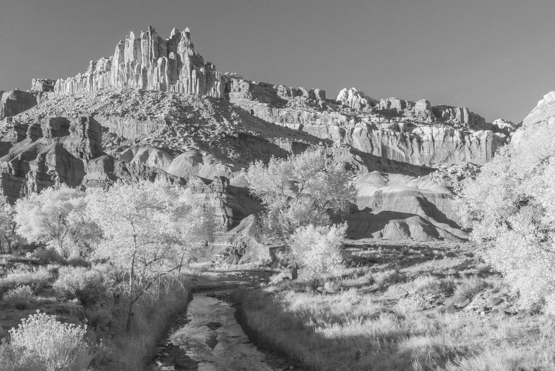 Noah Jigsaw Puzzle USA, Utah, Capitol Reef National Park. The Castle rock formation and Fremont River in black white 2000 pieces