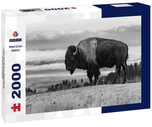 Noah Jigsaw Puzzle Sturdy Bison Stands in Wind Cave National Park in black white 2000 pieces