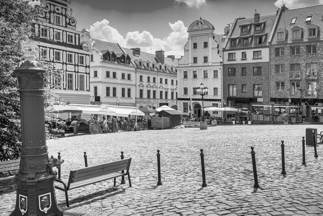 Traditionally blue water pump with goose head crest from Szczecin city emblem and old town square in the background. Griffin has been Szczecin's emblem since 1360 2000pc PuzzleBlack and White