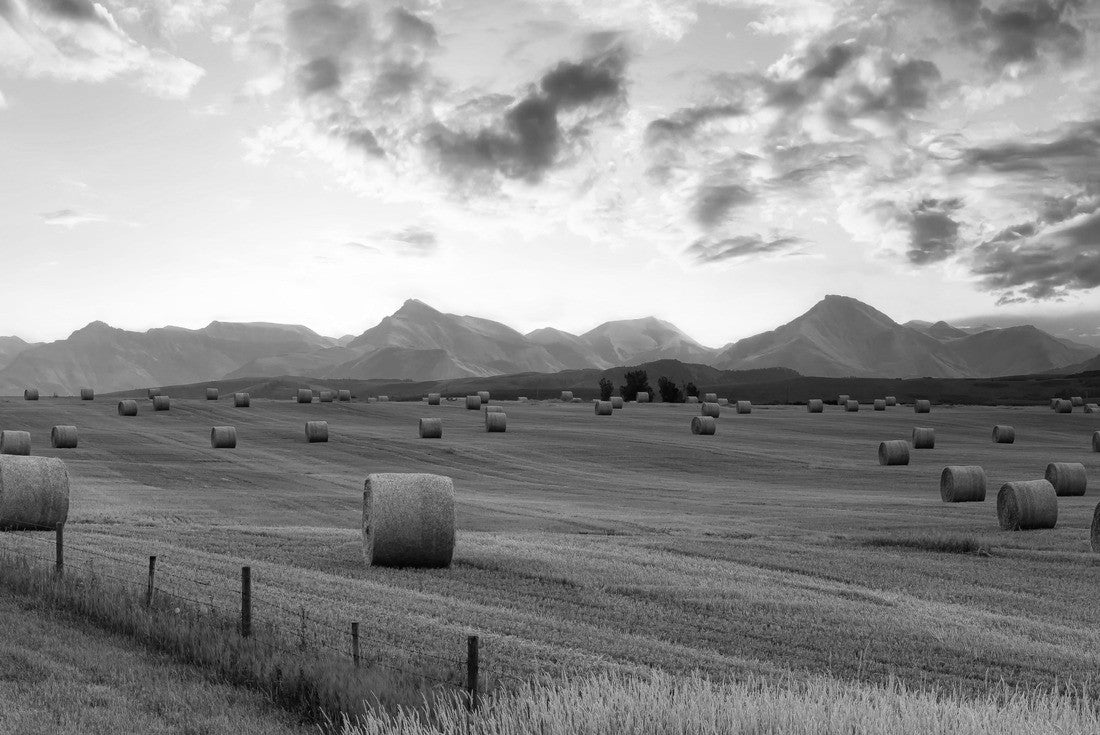 the hay bales on a farm. Dramatic sunrise summer sky. Near Pincher Creek, Alberta, Canada 2000pc PuzzleBlack and White