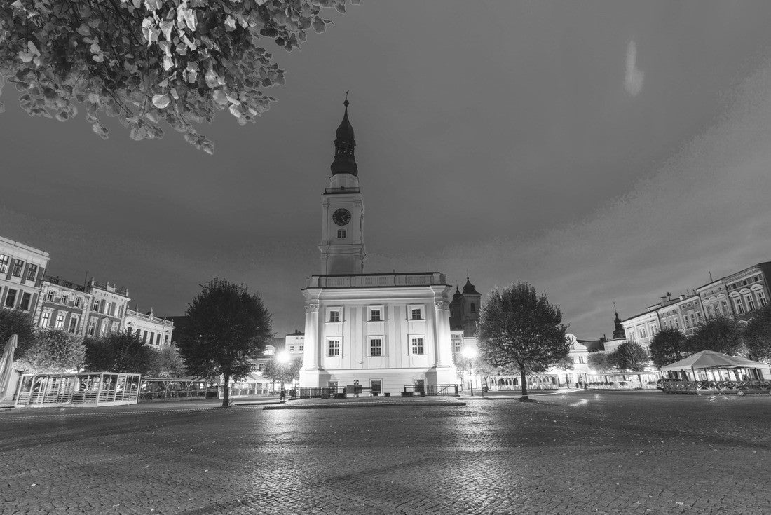 Leszno town hall in the evening. Leszno, Greater Poland, Poland 2000pc PuzzleBlack and White