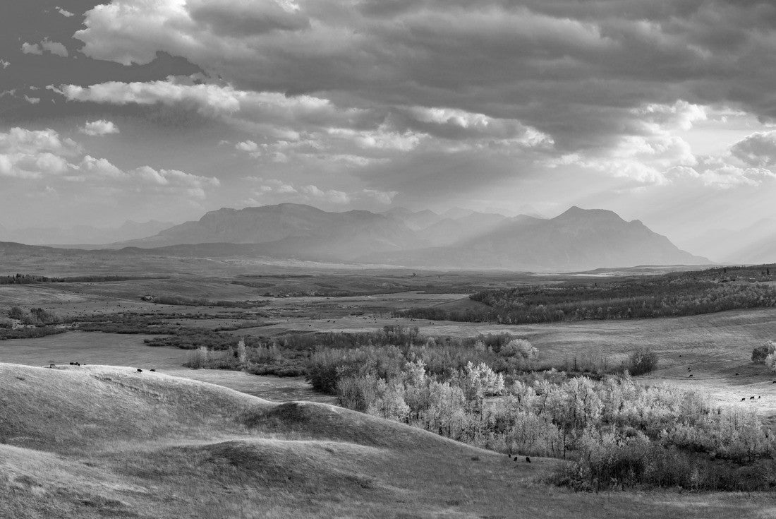 Great Plains and forest in beautiful fall. Sunlight through blue sky and clouds on mountains. Autumn color background. Waterton Scenic Spot, Waterton Lakes National Park, Alberta, Canada 2000pc PuzzleBlack and White