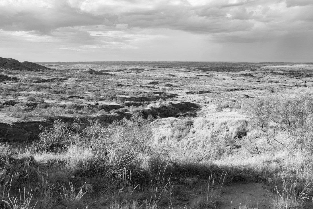 Beautiful Lake Meredith National Recreation Area in Texas, USA 2000pc PuzzleBlack and White