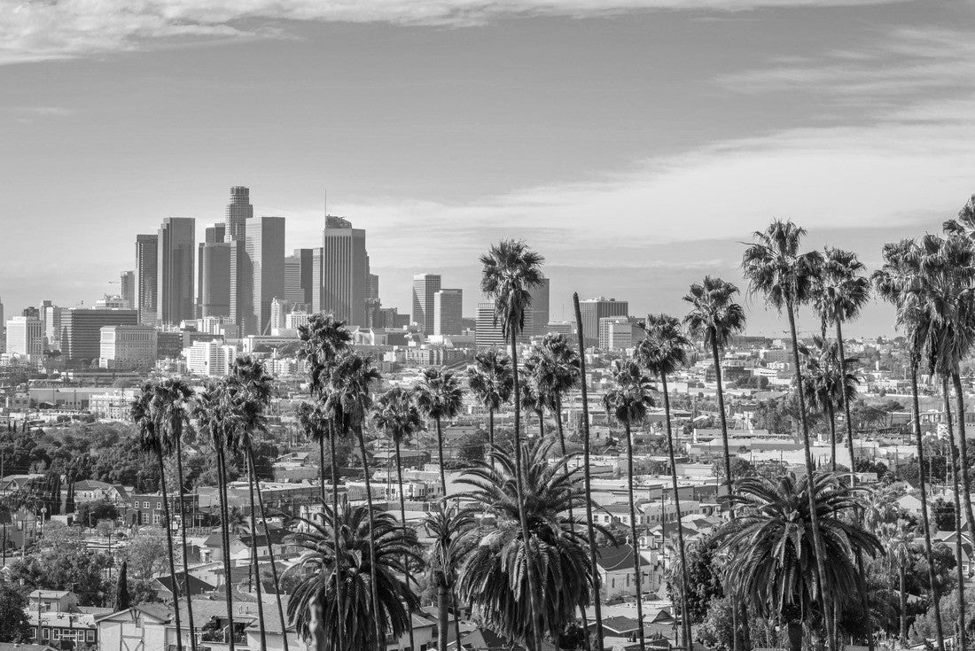 Cloudy day Los Angeles downtown skyline and palm trees in the foreground 2000pc PuzzleBlack and White