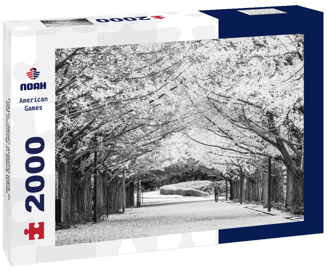 Tokyo, Japan autumn park in the morning 2000pc PuzzleBlack and White