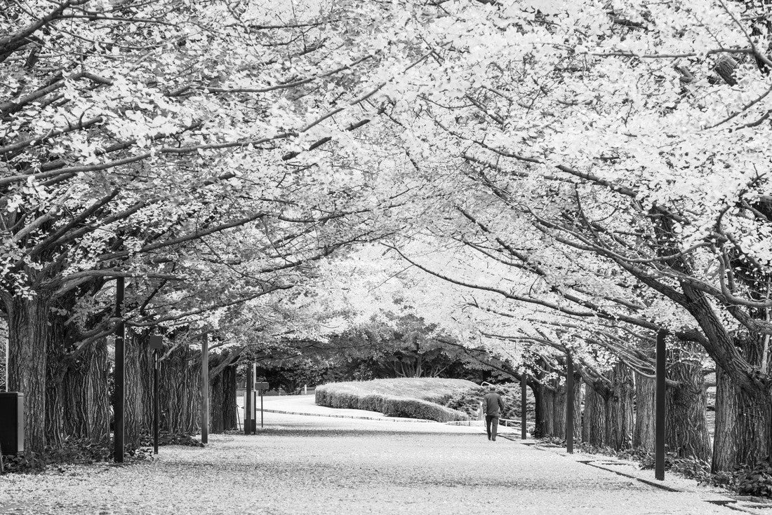 Tokyo, Japan autumn park in the morning 2000pc PuzzleBlack and White