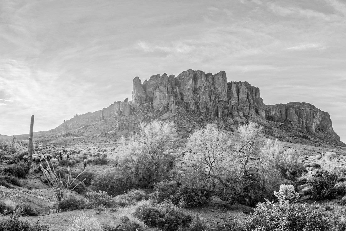 Sun Peaking at Lost Dutchman State Park - Apache Junction Arizona 2000pc PuzzleBlack and White