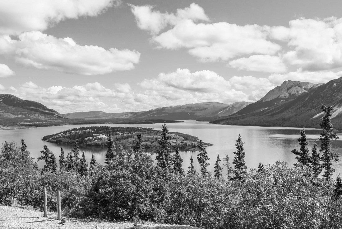 Noah Jigsaw Puzzle Bove Island and Tagish Lake in Yukon, Canada in summer in black white 2000 pieces