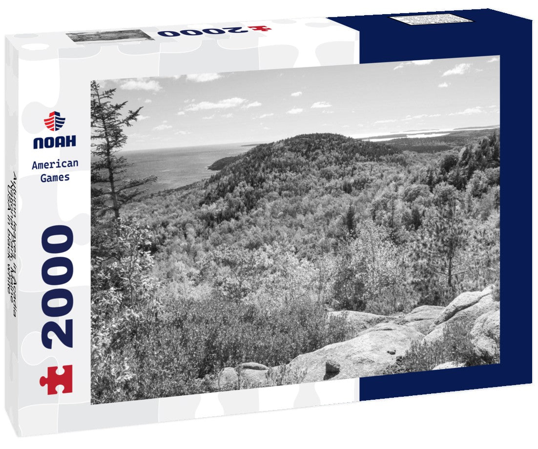 Noah Jigsaw Puzzle Autumn leaves in Acadia National Park, Maine, USA in black white 2000 pieces