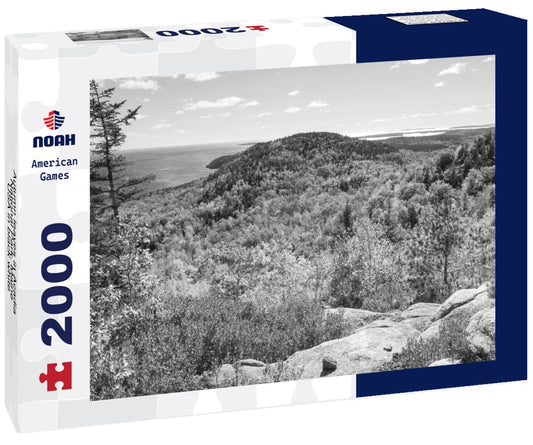 Noah Jigsaw Puzzle Autumn leaves in Acadia National Park, Maine, USA in black white 2000 pieces