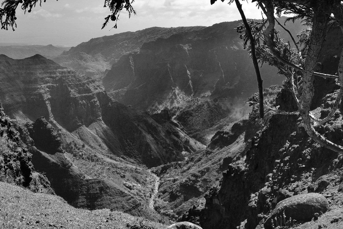 Hawaii Kauai Waimea Canyon picnic area 2000pc PuzzleBlack and White