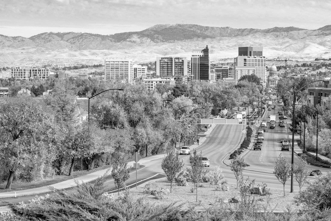 Noah Jigsaw Puzzle Boise Idaho street leading to the capital building in fall in black white 2000 pieces