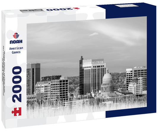 Noah Jigsaw Puzzle Boise Idaho skyline with tan colored grass foreground in black white 2000 pieces