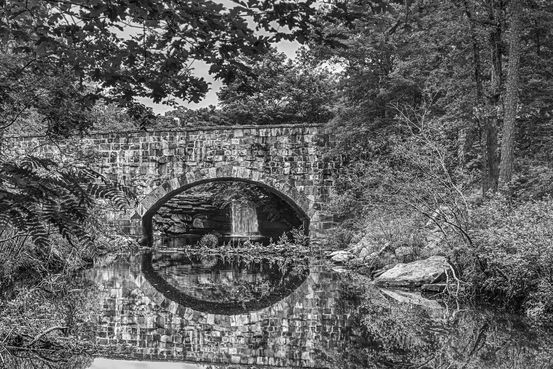 Noah Jigsaw Puzzle Bridge, waterfall and foliage reflections of scenic Davies Bridge in Petit Jean State Park near Russellville AR in black white 2000 pieces