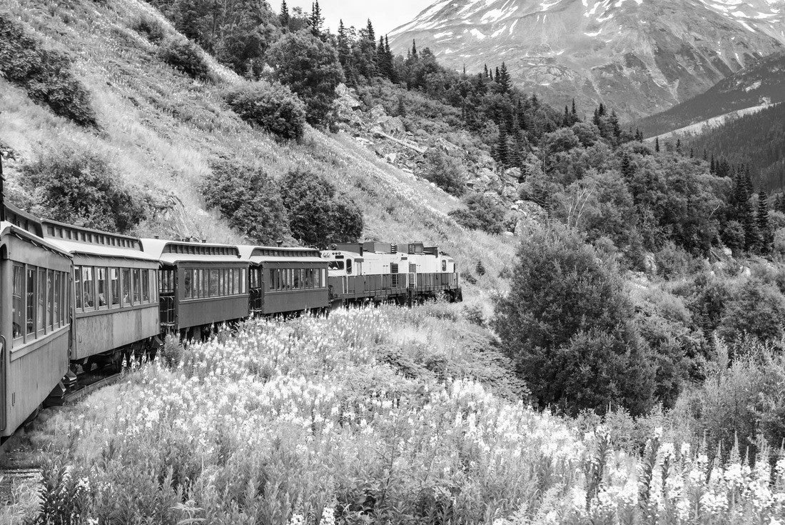 Skagway, Alaska. The picturesque White Pass 2000pc PuzzleBlack and White