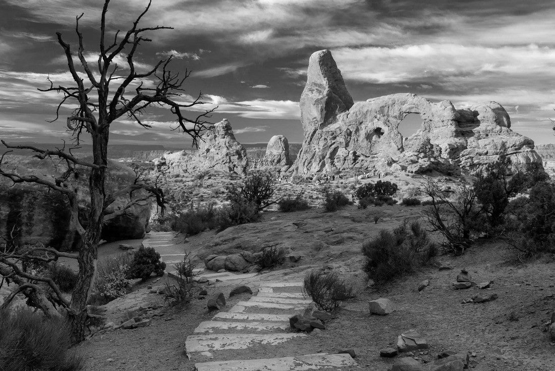 Noah Jigsaw Puzzle View of Turret Arch in Arches National Park, Utah, USA at sunrise in black white 2000 pieces