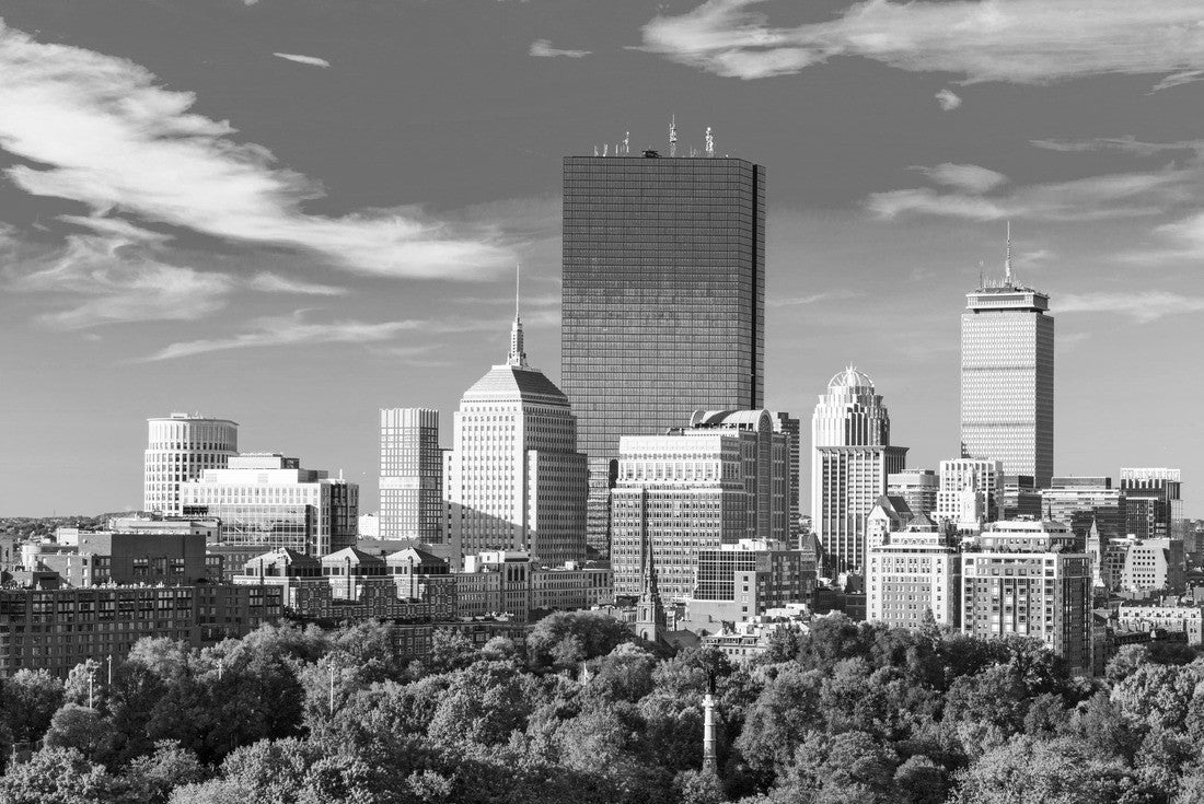 Noah Jigsaw Puzzle Boston, Massachusetts, USA Skyline over Boston Common in black white 2000 pieces