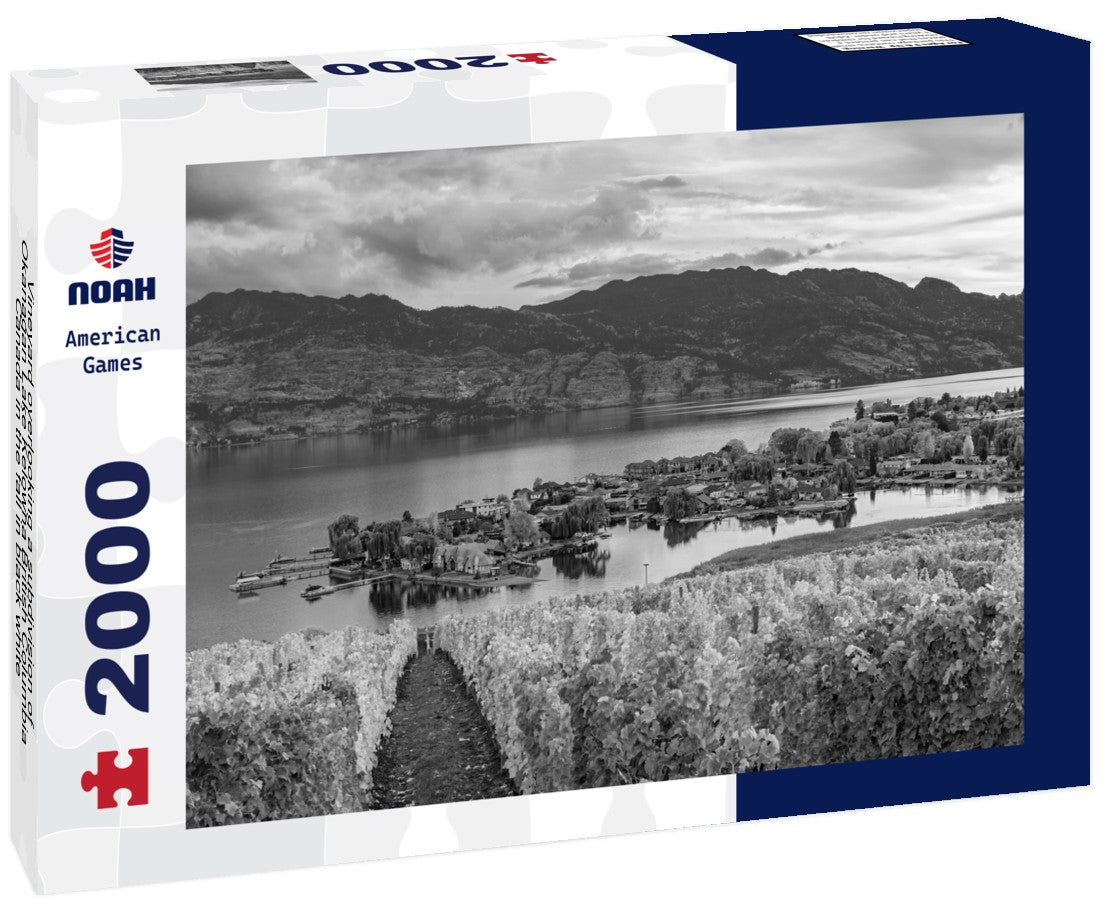 Vineyard overlooking a subdivision of Okanagan Lake Kelowna British Columbia Canada in the fall 2000pc PuzzleBlack and White