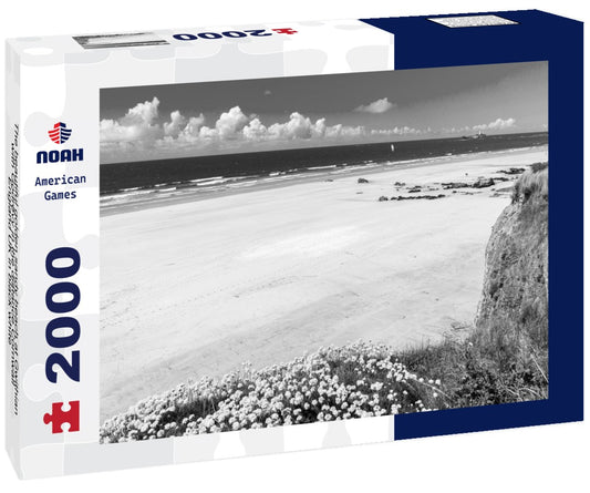 Noah Jigsaw Puzzle The beautiful golden sandy beach at Gwithian with Godrevy in the distance Cornwall England UK in black white 2000 pieces