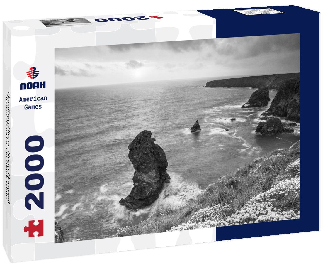 Beruthan Steps, North Cornwall, United Kingdom 2000pc PuzzleBlack and White