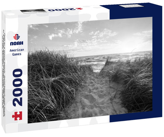 Noah Jigsaw Puzzle Path to a sunny beach. Sand beach path leads to a sunny summer horizon over the open waters of Lake Michigan. Hoffmaster State Park. Muskegon, Michigan in black white 2000 pieces