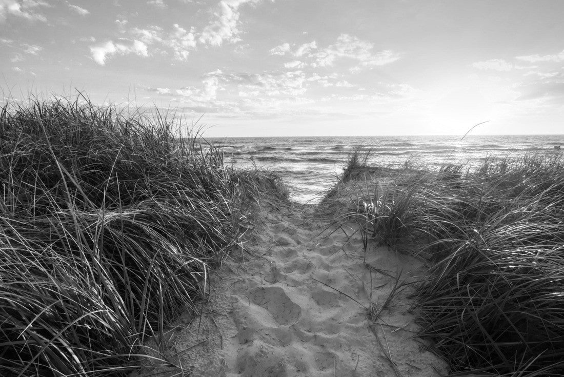Noah Jigsaw Puzzle Path to a sunny beach. Sand beach path leads to a sunny summer horizon over the open waters of Lake Michigan. Hoffmaster State Park. Muskegon, Michigan in black white 2000 pieces