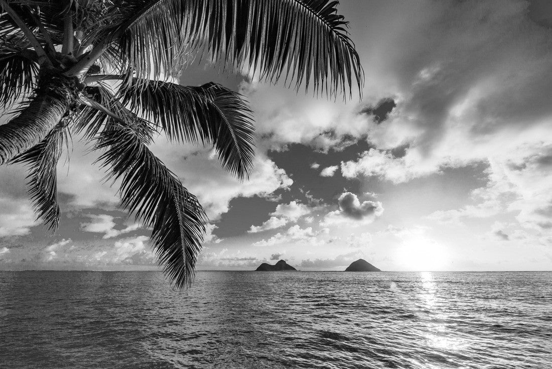 Beautiful Lanikai, Kailua Sunrise in Hawaii 2000pc PuzzleBlack and White